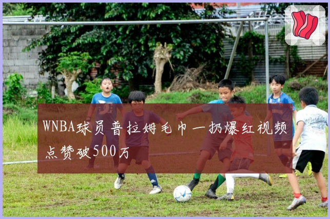 WNBA球员普拉姆毛巾一扔爆红视频点赞破500万