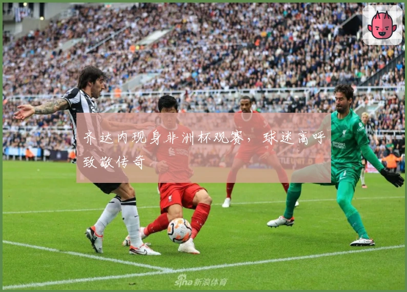 齐达内现身非洲杯观赛，球迷高呼致敬传奇